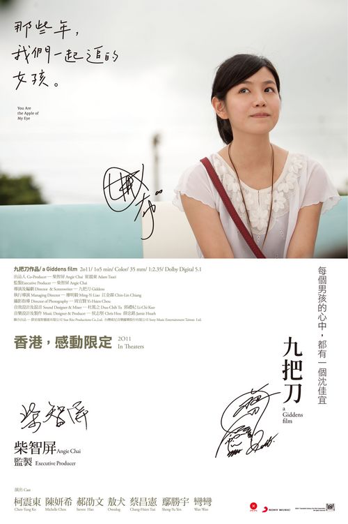 日本薬科大学Accounting Diploma